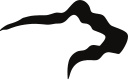 bear-black-128w.png