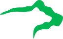 bear-green-128w.png