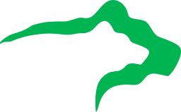 bear-green-256w.png