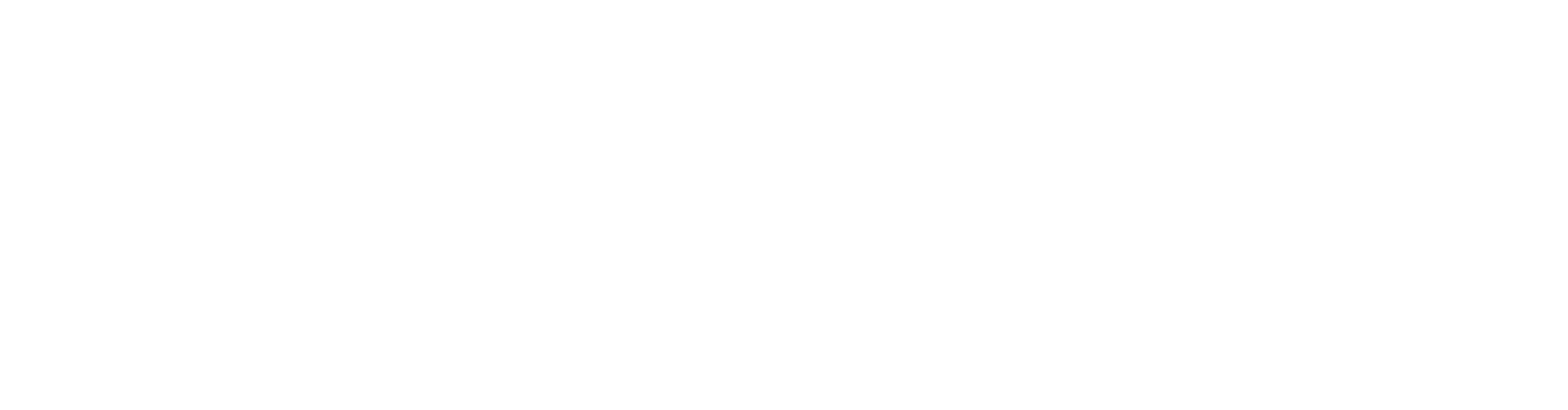 two-bear-capital-horizontal-white-2048w.png