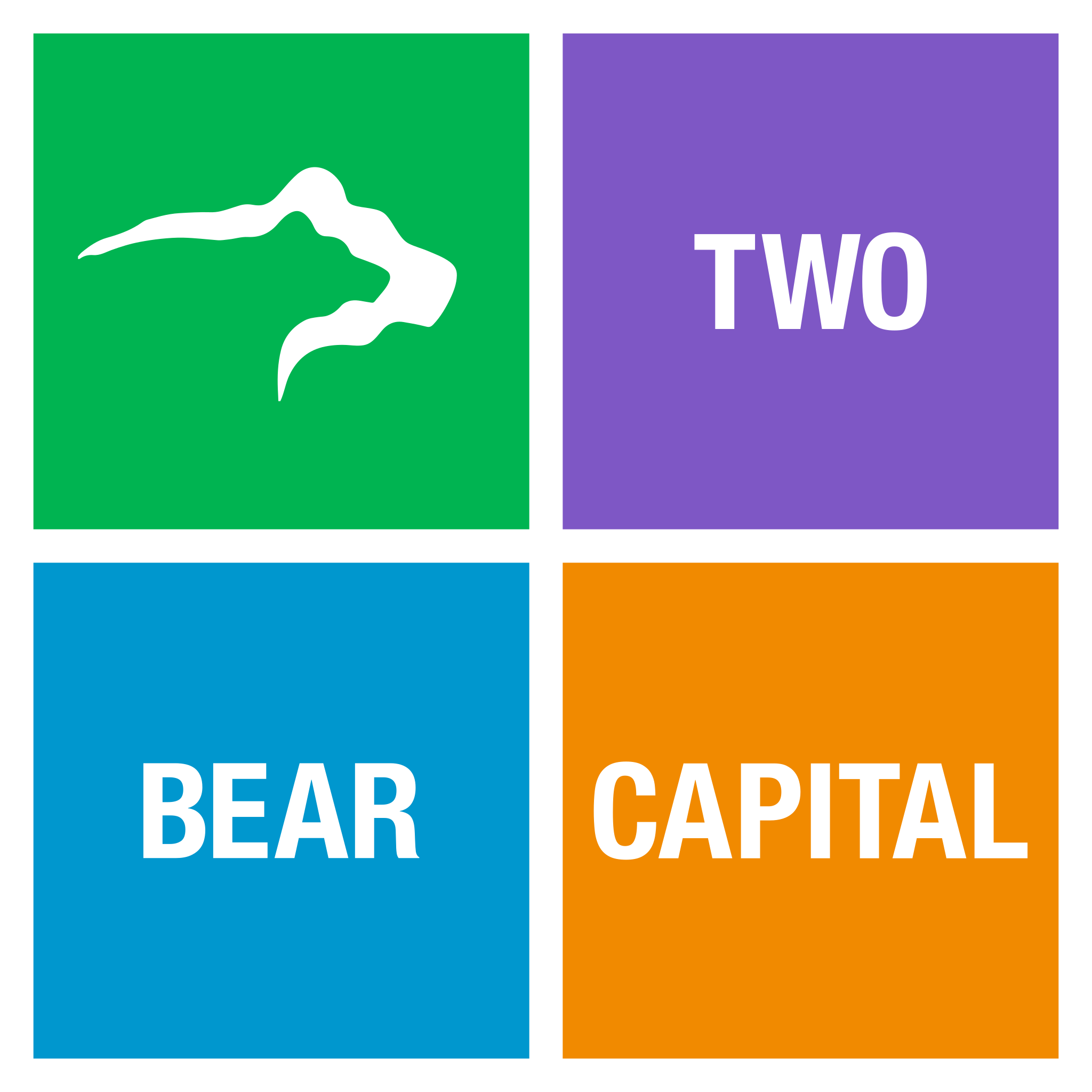 two-bear-capital-square-2048w.png