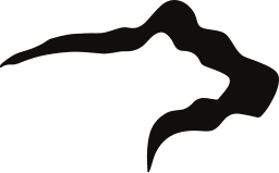 bear-black-256w.webp