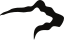 bear-black-64w.webp