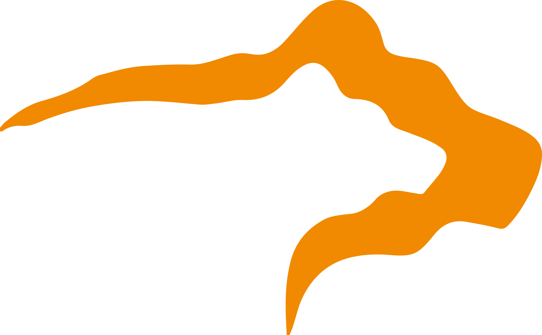 bear-orange-2048w.webp