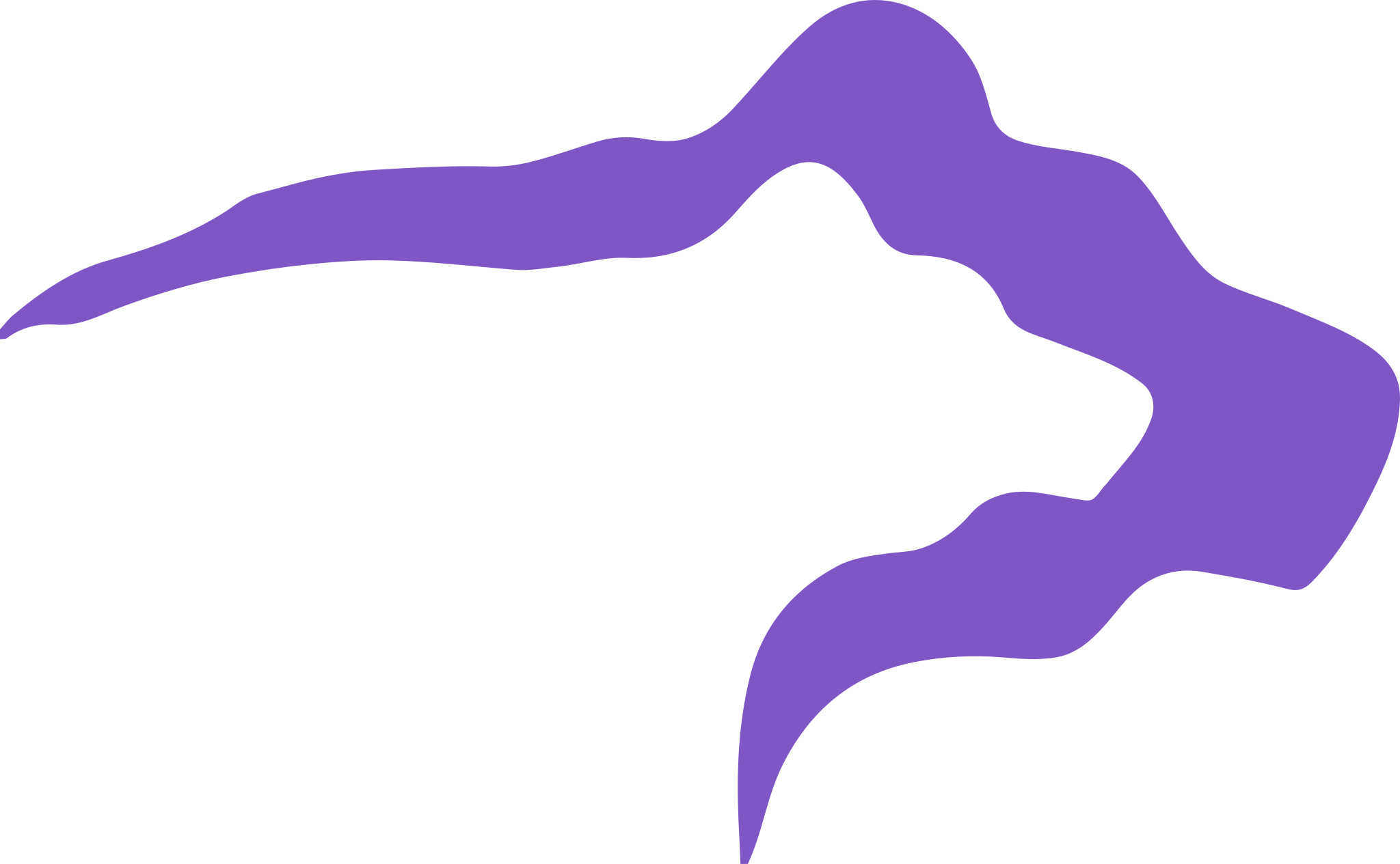 bear-purple-2048w.webp